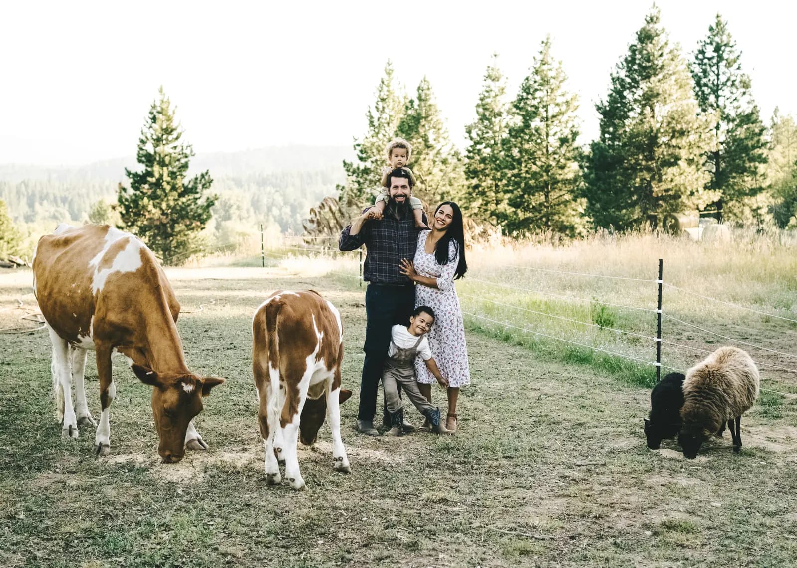 The Kuthy family on their Sandpoint, Idaho homestead - Diane, her husband, and two children in a pasture with grazing cows and sheep, pine hills behind