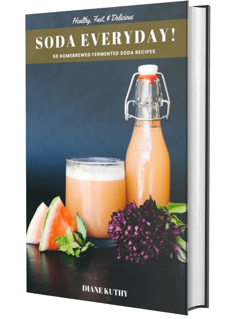 Ebook: Soda Everyday! The Homebrewer's Guide to Ginger Bug Sodas