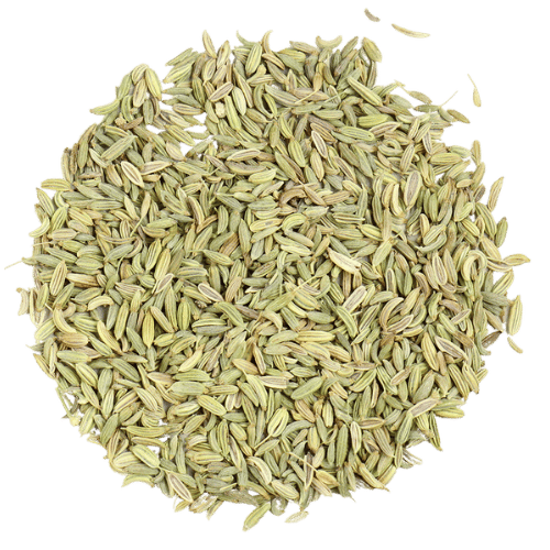 FENNEL SEED