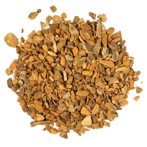 SASSAFRAS