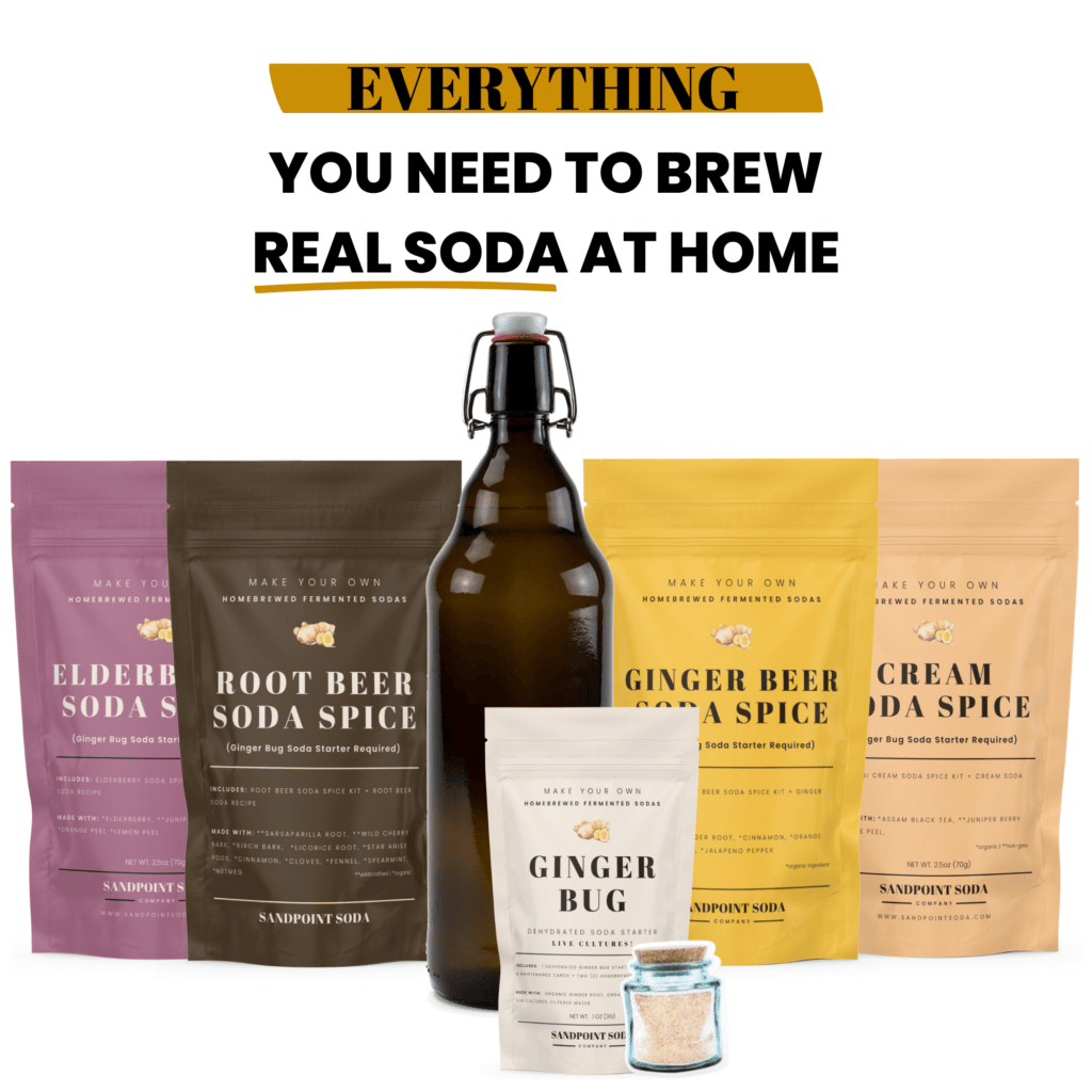 10 Ginger Bug Soda Making Mistakes & Solutions Sandpoint Soda Company