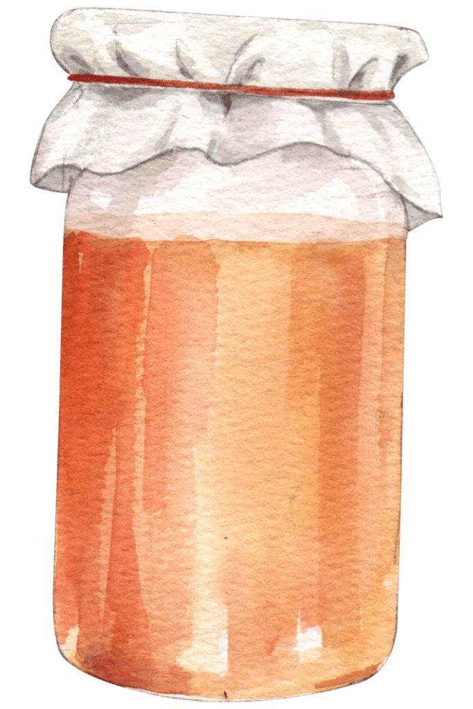 Ginger Bug Maintenance Sandpoint Soda Company