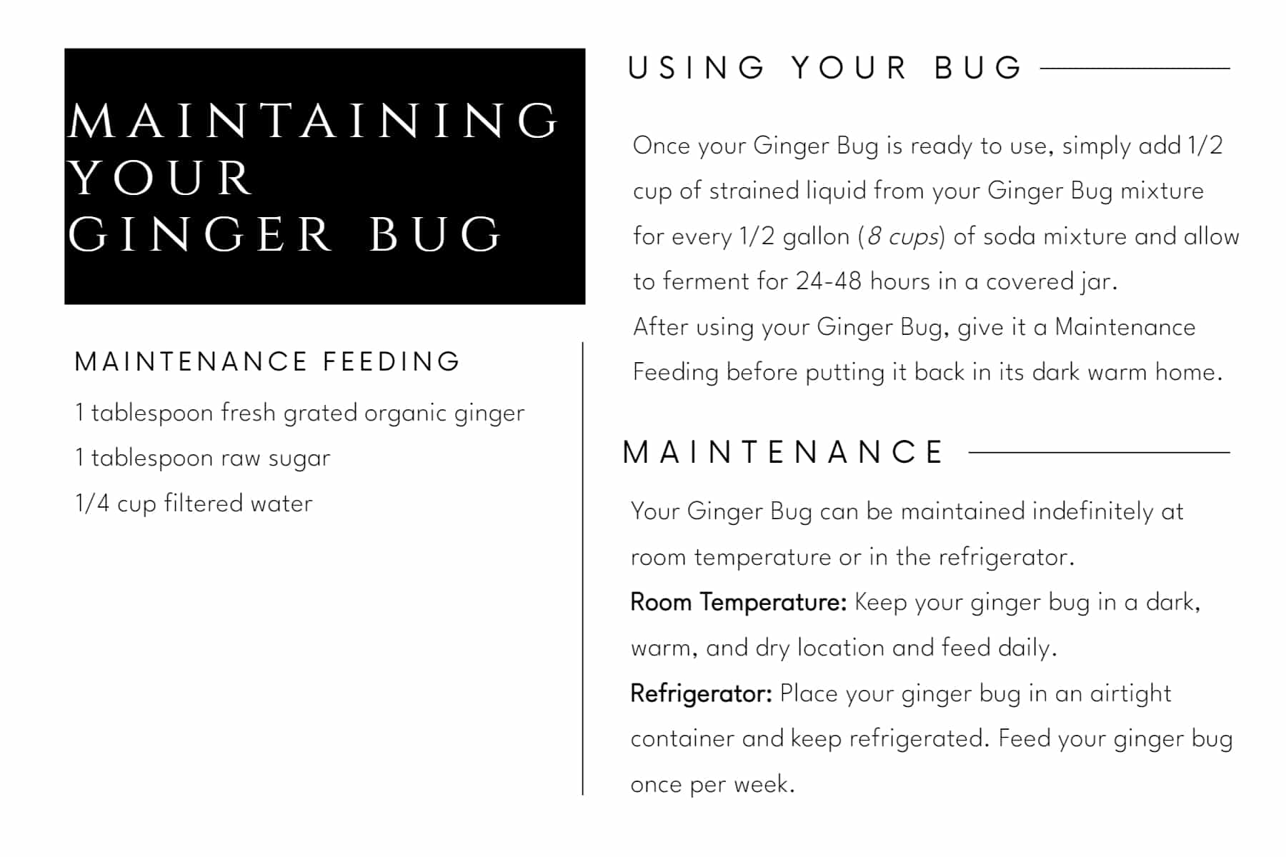 Ginger Bug Maintenance Sandpoint Soda Company