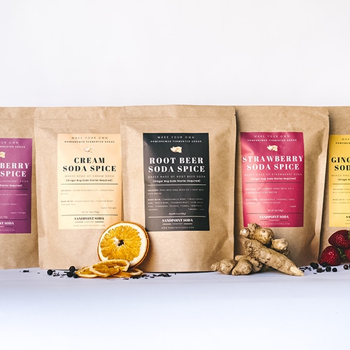 Basic Soda Making Kit Sandpoint Soda Company