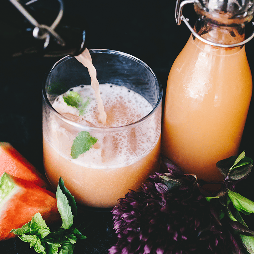 Basic Soda Making Kit Sandpoint Soda Company