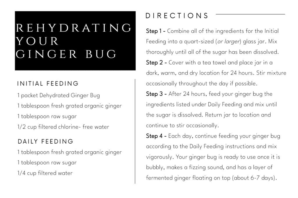Ginger Bug Rehydration Sandpoint Soda Company