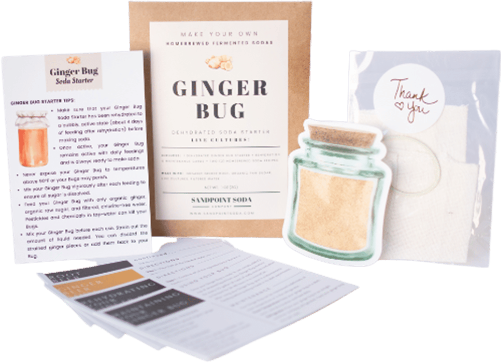 Ginger Bug Kit_transparent trimmed