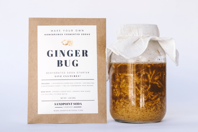 Are Ginger Bug Sodas Alcoholic? - Sandpoint Soda Company